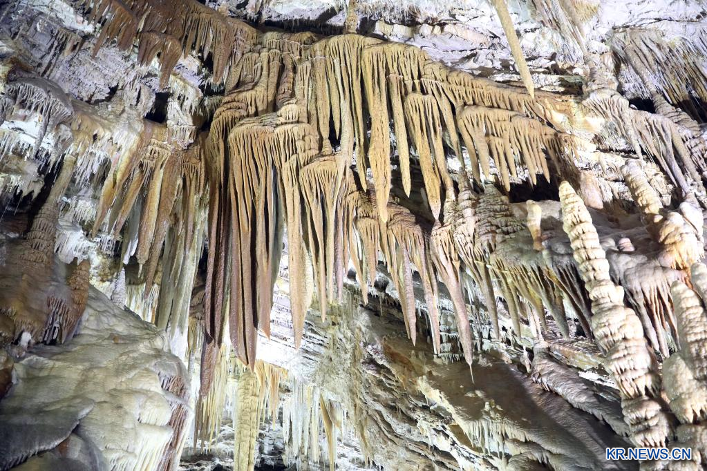 ???? ??? 中 ?? ????